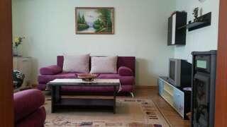 Апартаменты Apartments Medo Колашин Апартаменты - 1-й этаж-5