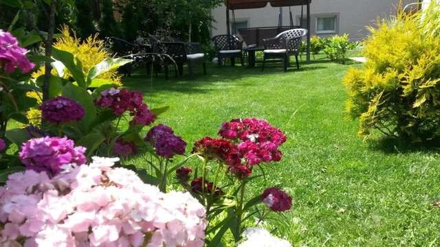 Апартаменты Apartments Medo Колашин-46